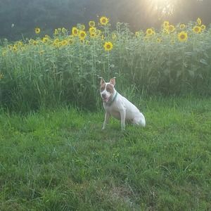 Meet your Posher, Travis